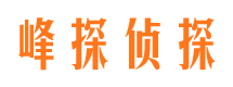 雷波出轨调查